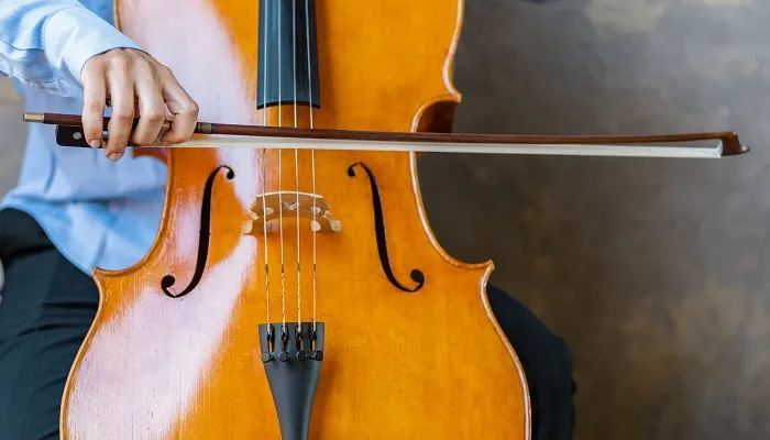 What are Acoustics in Music? Definition & Explanation