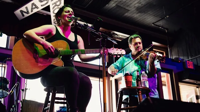What is Acoustic Music? Meaning, Instruments & Examples