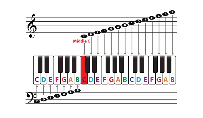 What Are Music Notes Exactly? Definition, Examples & Types